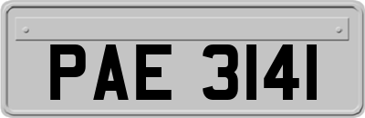 PAE3141