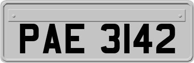 PAE3142