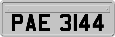 PAE3144