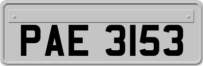 PAE3153