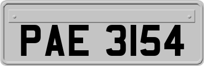 PAE3154