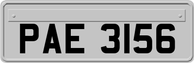 PAE3156