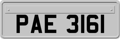 PAE3161