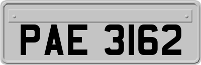 PAE3162