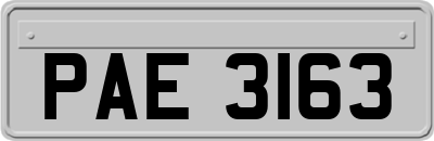 PAE3163