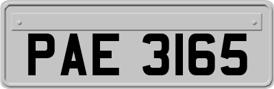 PAE3165