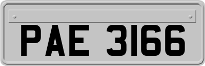 PAE3166