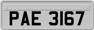 PAE3167