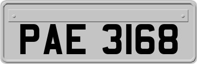 PAE3168