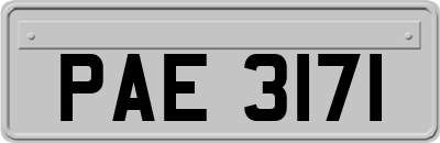 PAE3171