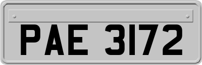 PAE3172