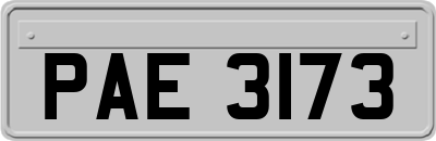 PAE3173