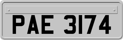 PAE3174