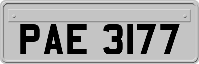 PAE3177