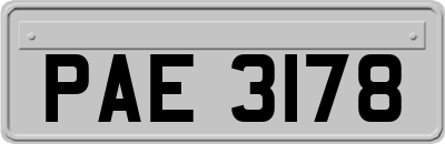 PAE3178