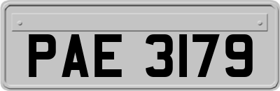 PAE3179