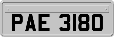 PAE3180