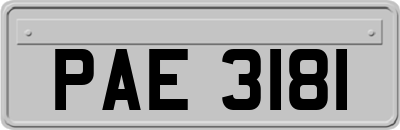 PAE3181