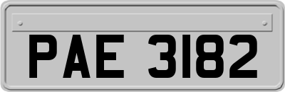 PAE3182