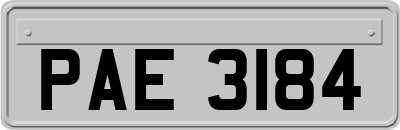 PAE3184