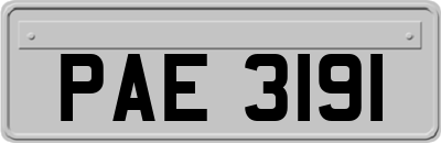 PAE3191