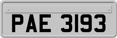 PAE3193
