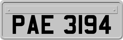 PAE3194