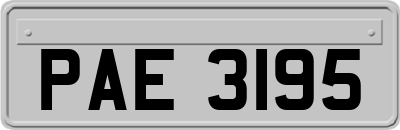 PAE3195