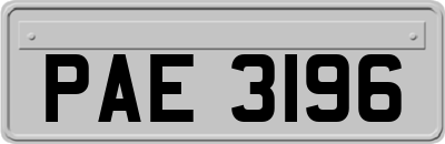 PAE3196