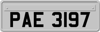 PAE3197