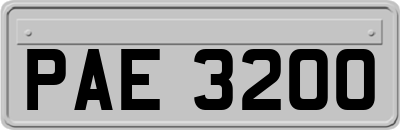 PAE3200