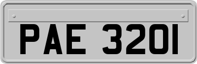 PAE3201