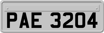 PAE3204