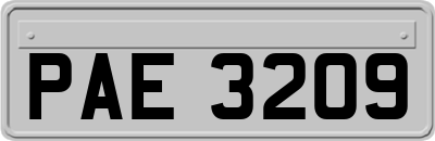 PAE3209