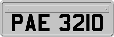 PAE3210
