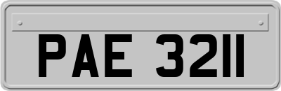 PAE3211