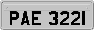 PAE3221