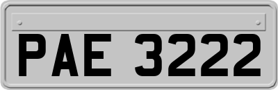 PAE3222