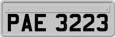 PAE3223