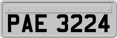 PAE3224