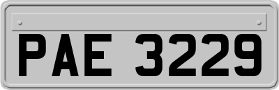 PAE3229