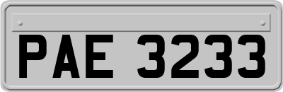 PAE3233