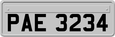 PAE3234