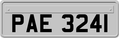 PAE3241