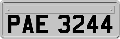 PAE3244