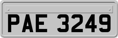 PAE3249