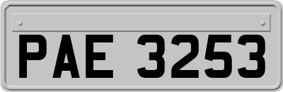 PAE3253