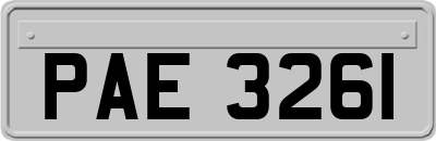 PAE3261