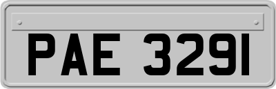 PAE3291