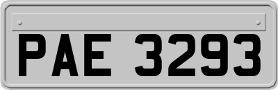 PAE3293